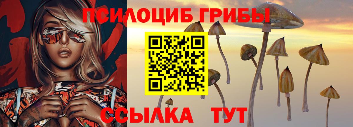 Псилоцибиновые грибы мицелий Узловая