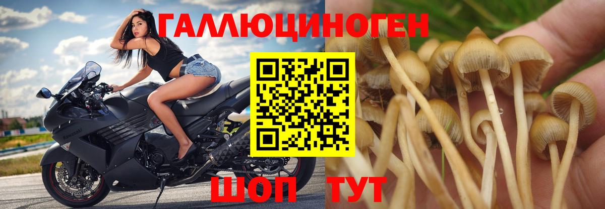 Галлюциногенные грибы прущие грибы  Вход с VPN  где купить наркоту  Галлюциногенные грибы Cubensis  Узловая 
